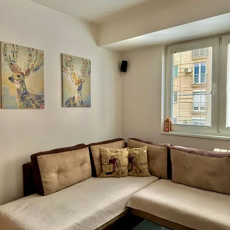Modern & Cozy Apartman Szkopje Kültér fotó