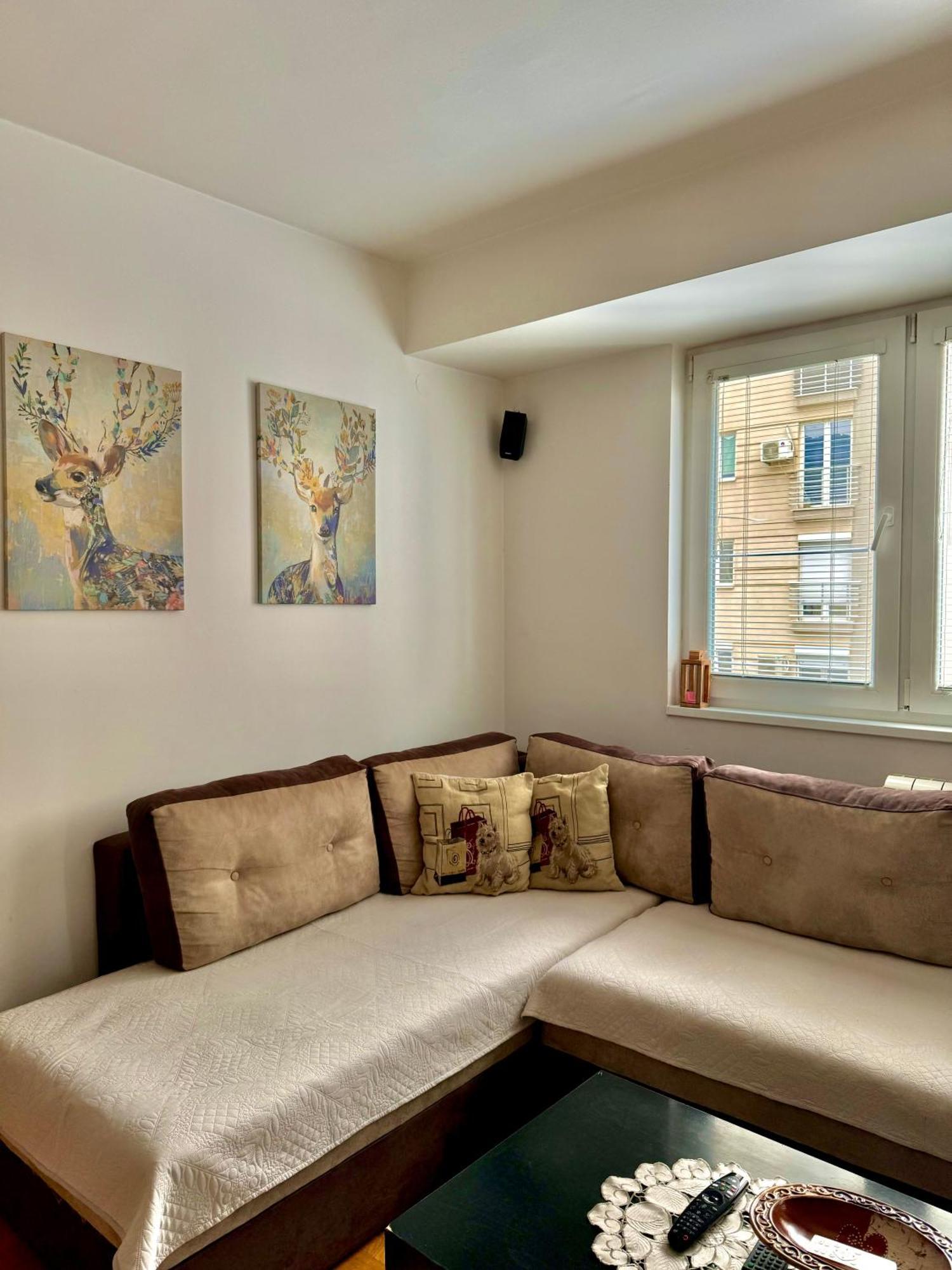 Apartman Modern & Cozy